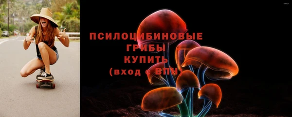 Альфа ПВП Рославль