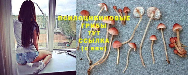 трава Абинск