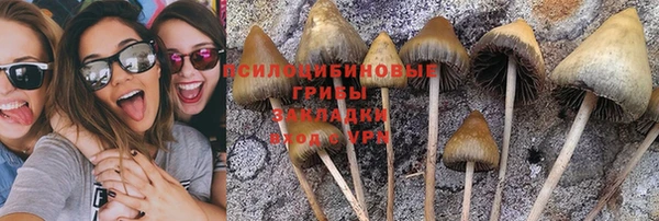 спиды Ростов