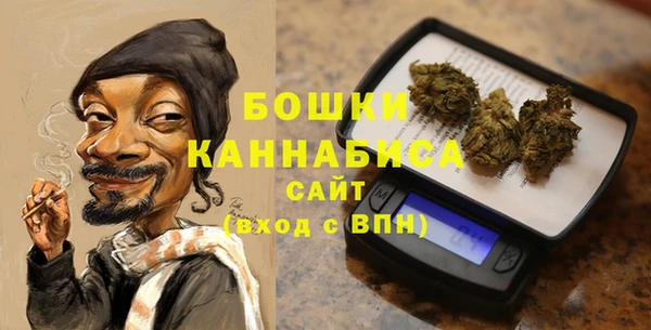 сатива Абаза