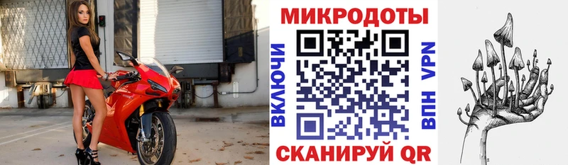 Псилоцибиновые грибы GOLDEN TEACHER  Бавлы 